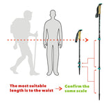 HITORHIKE Carbon Fiber Trekking - 2 poles (195g)